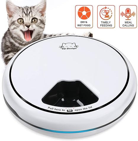Amazon Com Tdynasty Design Automatic Cat Feeder Dog Food