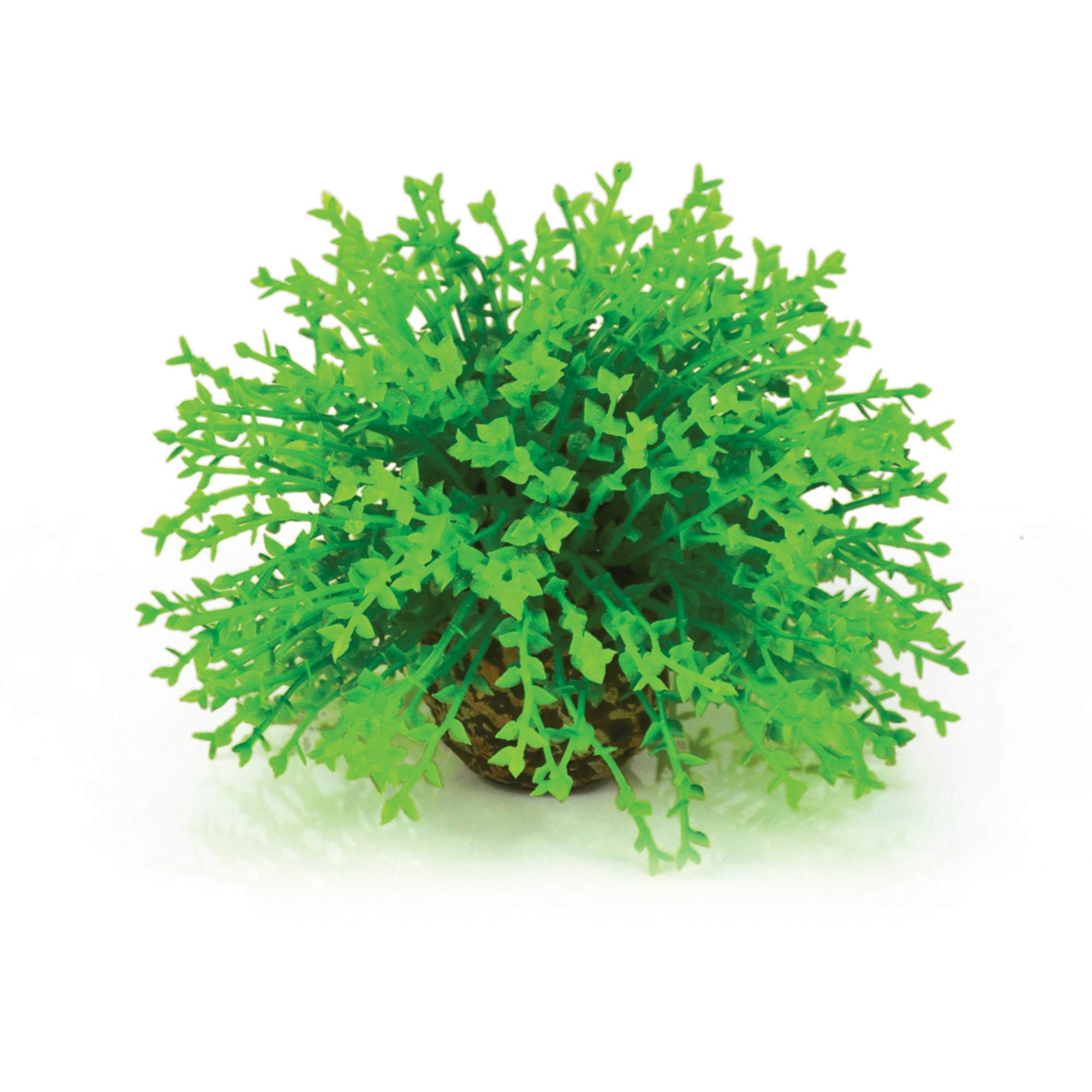 biOrb Fish Tank Decorations, Aquatic Flower Ball With Weighted Ball (1 x Green Aquarium Plant), Beautiful Artificial Fish Tank Plant To Add Colour, Natural-Looking Aquarium Decor For Scenic Background