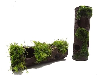 Craywood XXL Unterschlupf/Höhle mit Aquarienmoos für L-Welse, Aquarienkrebse, Garnelen & Buntbarsche