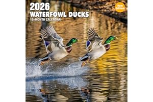 Waterfowl Ducks 2026 Calendar: Migratory and resident ducks on lakes and rivers