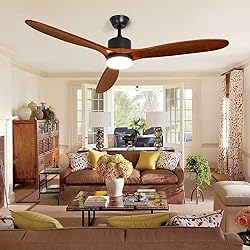 Depuley 60" Ceiling Fan with Light,Indoor Outdoor