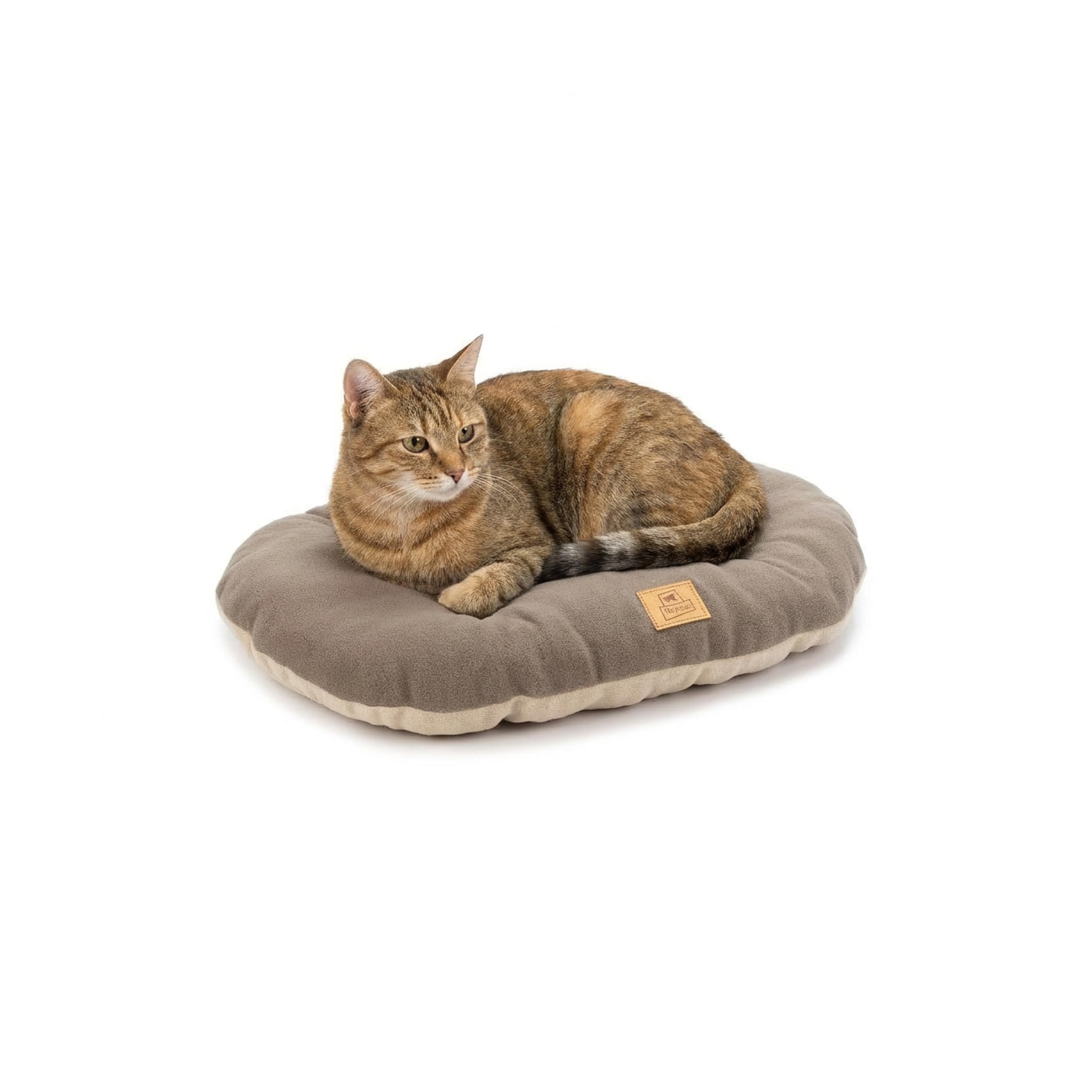 Ferplast Small Dog Bed Soft and Washable Cat Bed, Warm Microfleece Dog Mattress, 55 x 36 cm. Taupe