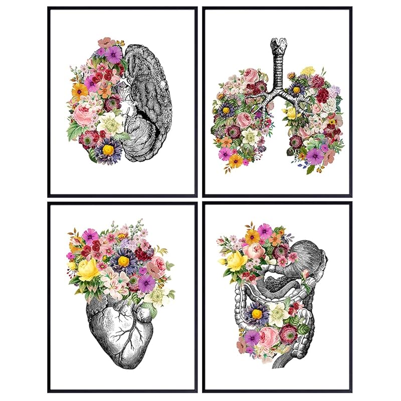 Original Flower Organs Wall Art Print Poster Set Unique Steampunk Anatomy Home