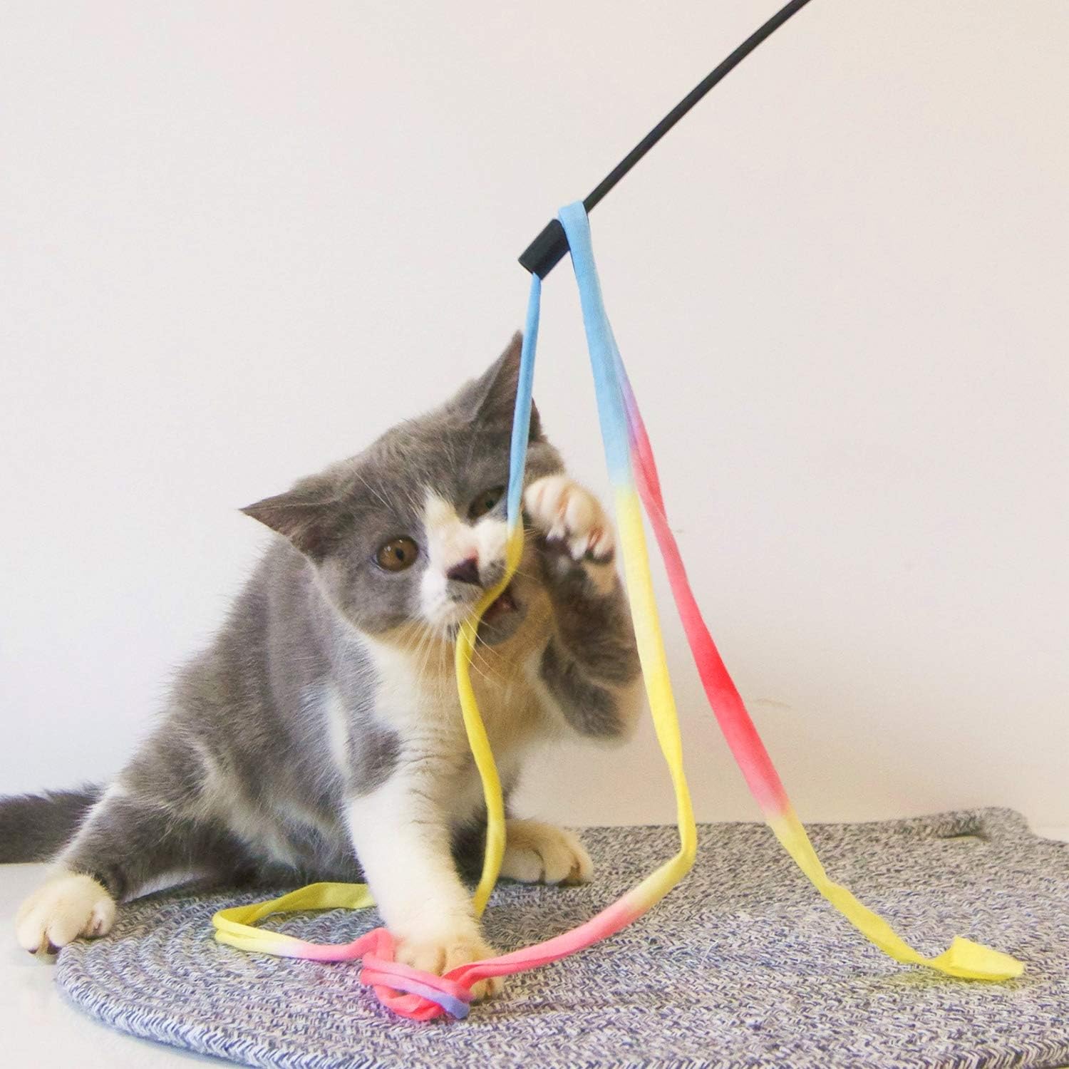M JJYPET Retractable Cat Wand Toys, 12 Packs Interactive Cat Feather Toy, 9 Assorted Teaser Refills with Bell for Cat, Kitten : Pet Supplies