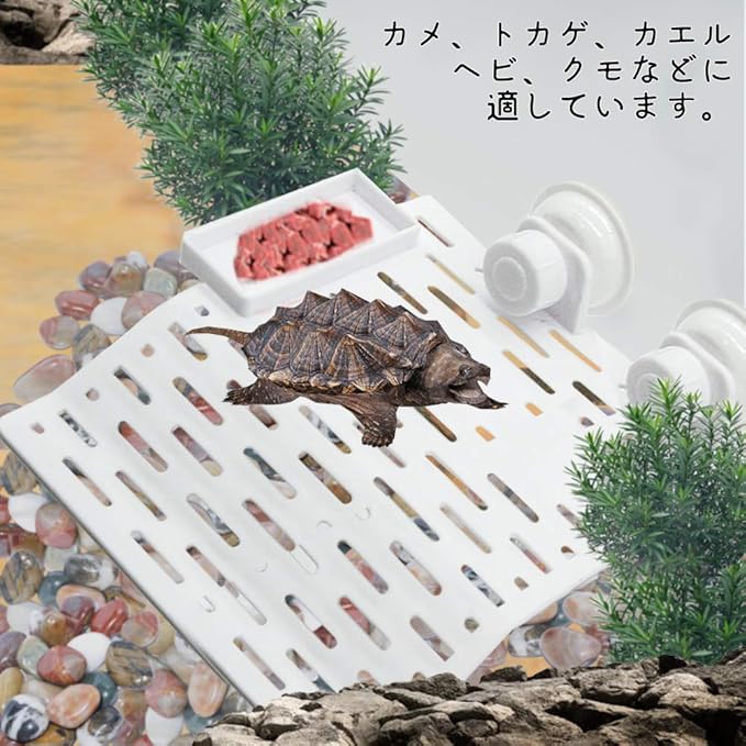 Amazon 爬虫類 亀 かめ 浮き島 水槽台 ドック浮動 カメ桟橋 亀の日なたぼっこ台 水槽 60cm用 日光浴 水族館 吸盤 食糧容器付き 位置調整可 アクリル製 L Itomte 飼育ケース内装 通販