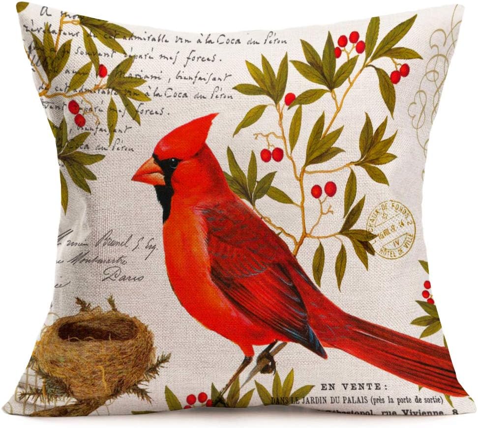 Best Cardinal Birds Decorations Living Room