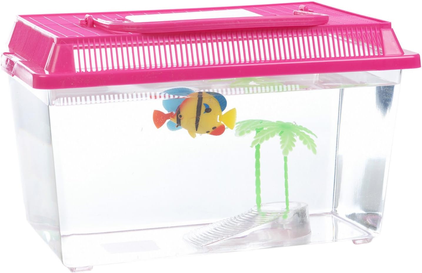 small pink aquarium fish