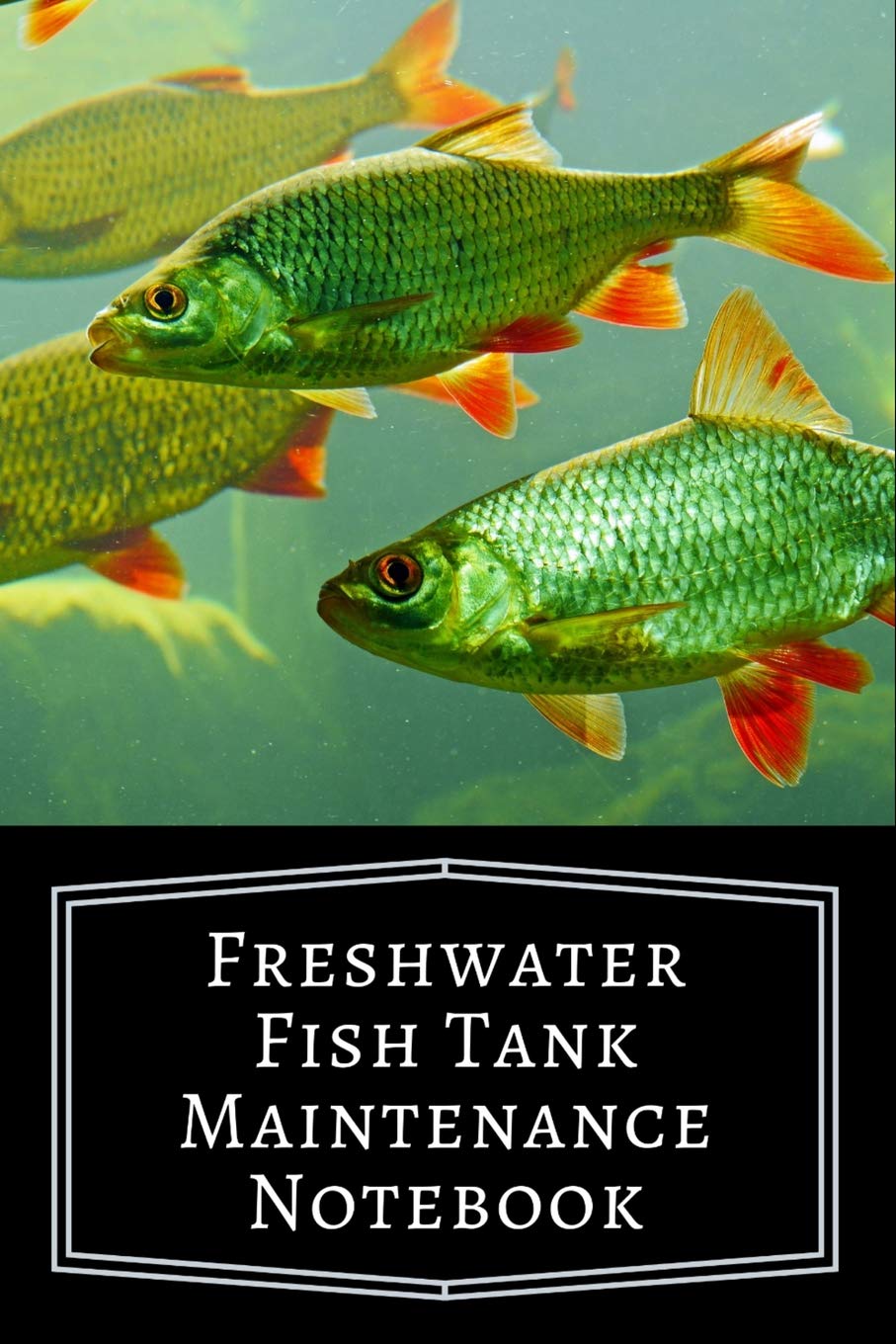 freshwater tank maintenance