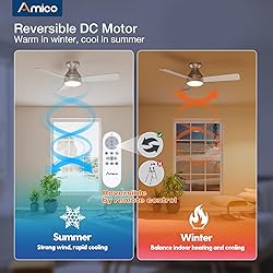 Amico Ceiling Fans with Lights, 42 inch Low Profile