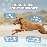 Zipvit Flex A Joint For Pets Dog Joint Supplements 180 Capsules view 3