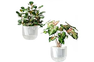 Self Watering Plant Pots for Indoor Flower Pots, 6.5 Inch 2 Pack Planters Plant Pots Indoor with Drainage for Houseplants, Su