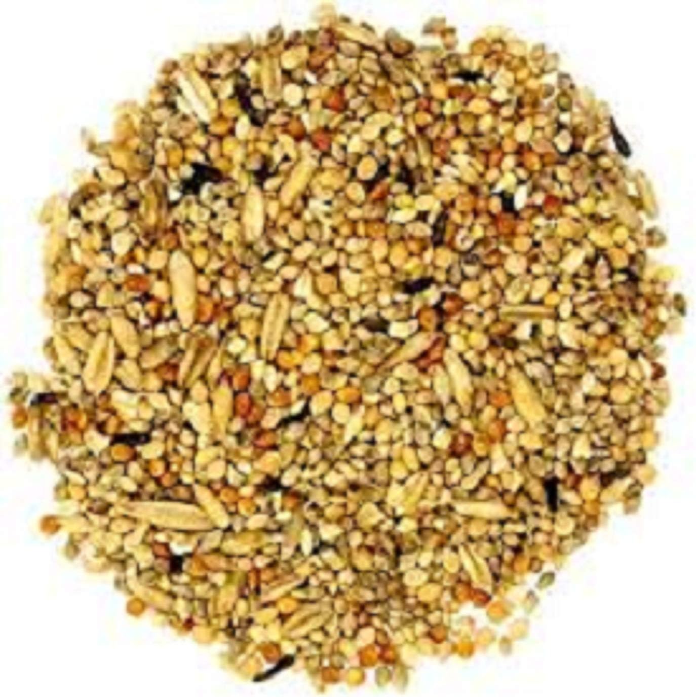 Picture of Buy Bajri Bird Food 1KG | Mix Seed for Budgies, Love Birds, Cocktails ...