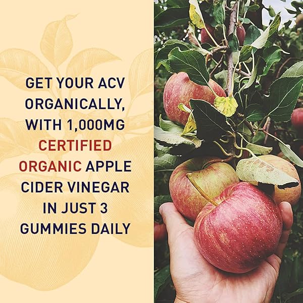 GARDEN OF LIFE ORGANICS APPLE CIDER VINEGAR ENERGY GUMMIES – USDA ORGANIC ACV GUMMY VITAMINS FOR ENERGY WITH VITAMIN B12, COFFEEBERRY, GREEN TEA – 63 VEGAN GUMMIES FOR MENTAL FOCUS & CLARITY