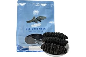 DABC OAK LAND Dried Wild Sea Cucumber, 15-20PCS 5-6 Years Natural South American Sun Dried Sea Cucumber, Premium Deep Sea Wild Caught Grade AAAA Nutritious Rich In Protein, Vitamins 8OZ Medium Bag