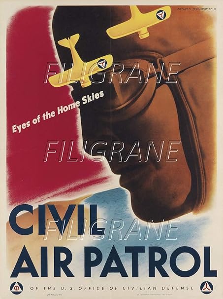 avion patrulla canina amazon