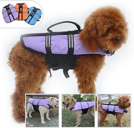 pet life vests for dogs
