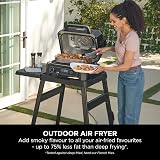 Ninja Woodfire Pro XL Electric BBQ Grill & Smoker 4 in 1 Grey/Black view 7
