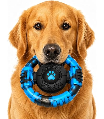 best anti gulp dog water bowl Anti Splash Dog Bowl main image 0
