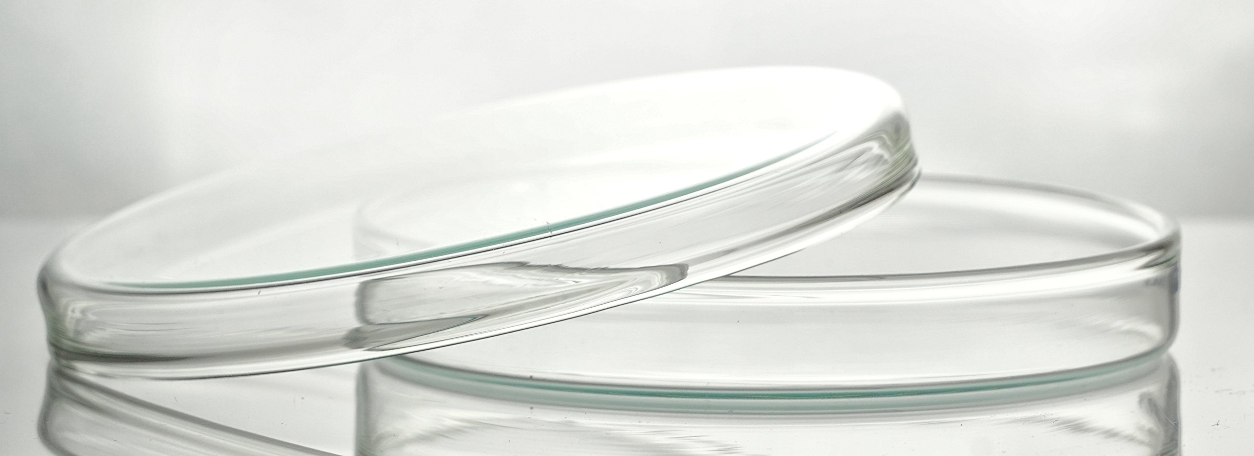 Witeg 150 B petri dishes with lid, diameter 150 mm x 25 mm, non-porous, borosilicate glass 3.3
