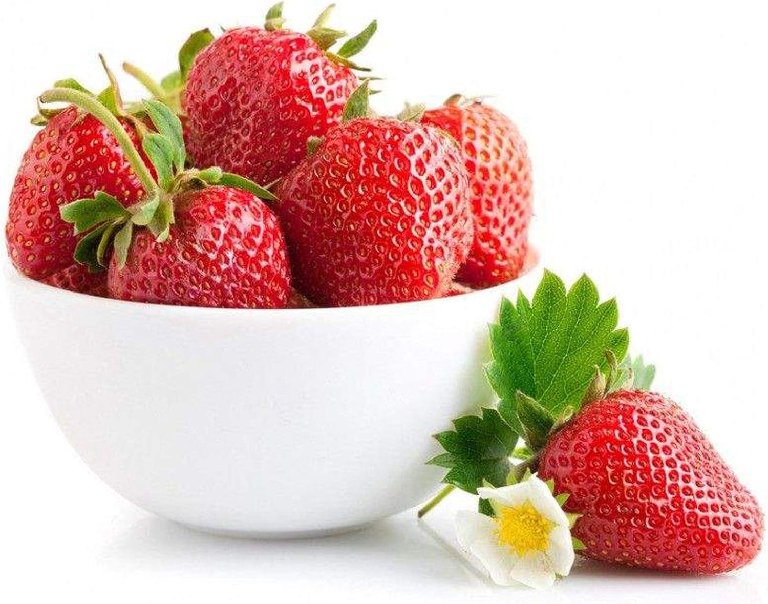 220 Pcs Strawberry Seeds/NonGMO 4 Season Home/Garden/Farm/Indoor
