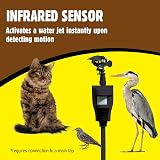 The Big Cheese Jet Spray Pond and Garden Protector PIR Water Jet view 4
