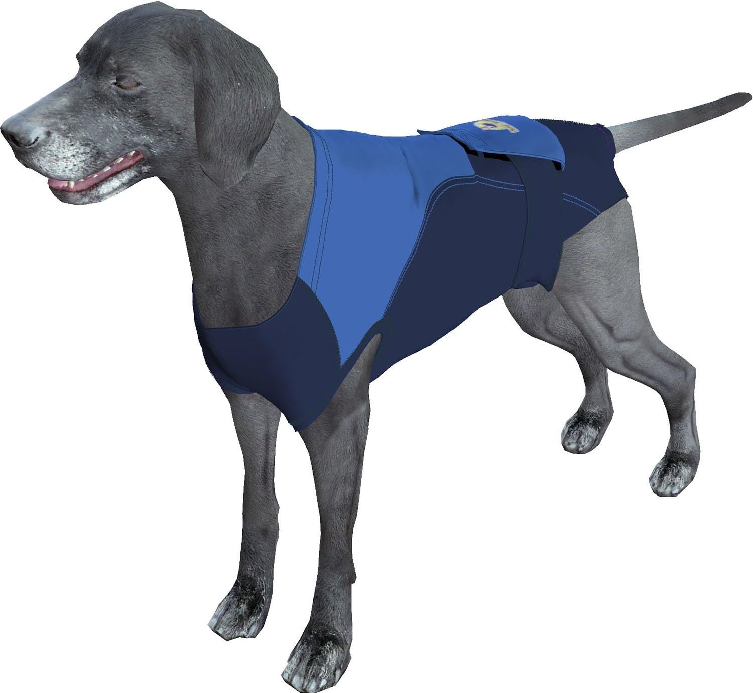 surgi suit for dogs