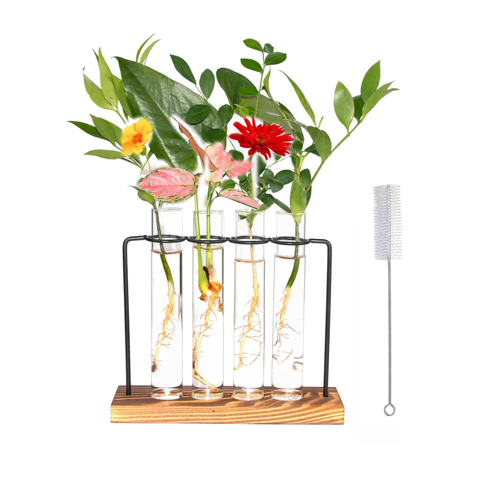 Innjoii Propogation Planters with Metal Stand Test Tube Vase with Four Test Tubes, Plant Propagation Station with Wooden Air Plant Terrarium for Hydroponics Indoors Home Garden Office