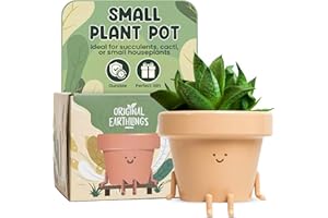 Original Earthlings Sitting Small Plant Pot - 4 Inch Cute Plant Pot - Succulent & Cactus Christmas Planters, Removable Drainage Plug, Cute Decor Plant Gifts for Plant Lovers, Teacher Gifts
