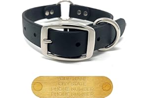 Regal Dog Products Medium Black Dog Collar with Custom Engraved Name Plate - Custom Fit, Resistant, Easy to Clean Biothane Wa