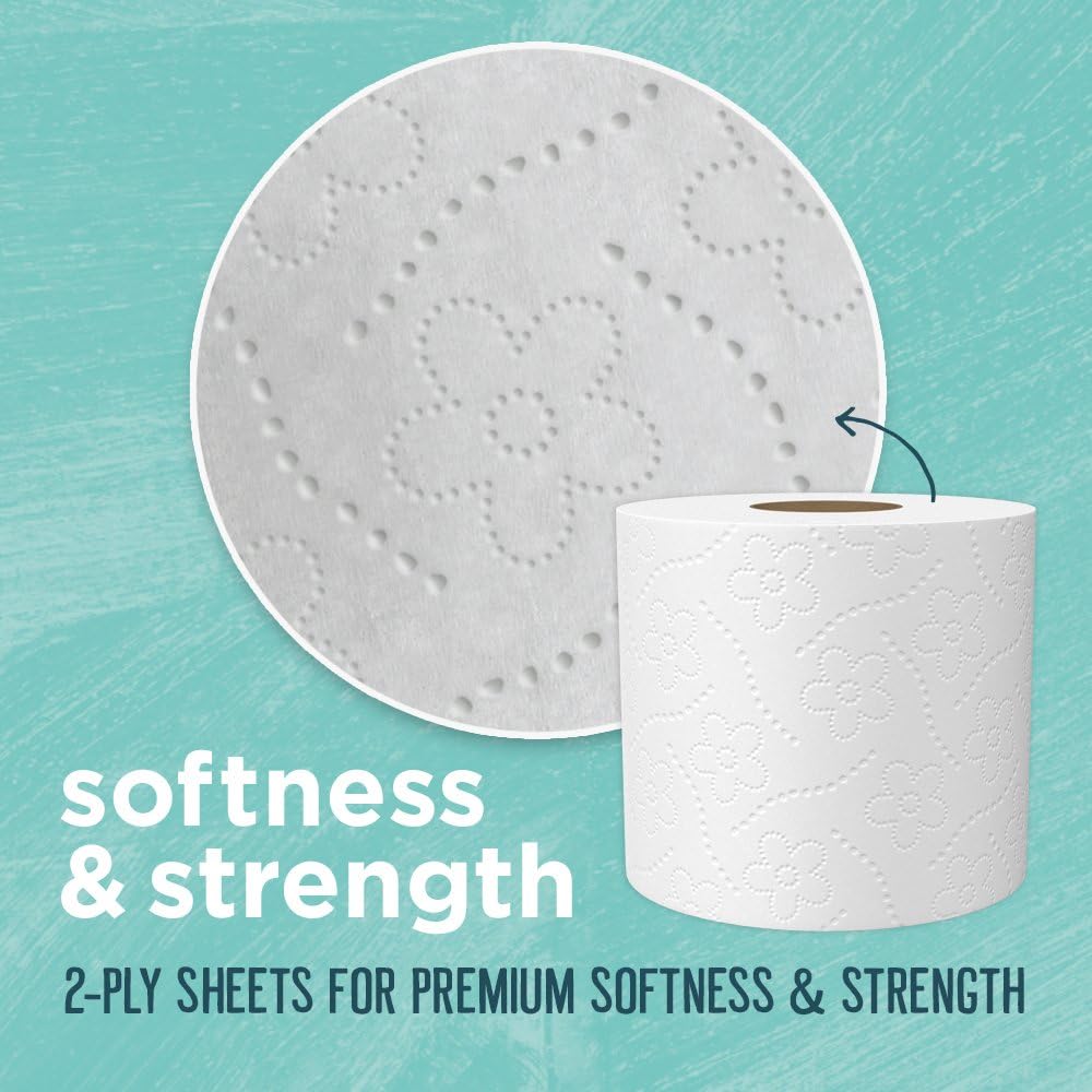 Seventh Generation Toilet Paper, Bath Tissue, 100% Recycled Paper, 12 rolls (Pack of 4) (Packaging May Vary): Health & Personal Care