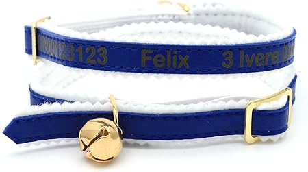 personalised kitten collar