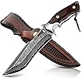 Damascus Hunting Knife with Leather Sheath,10.4"Fixed Blade Hunting Knife with Lanyard,Real Damascus Steel Knives with VG10 Core &Wood Handle,EDC Full Tang Knives for Adventure Survival Hiking Camping