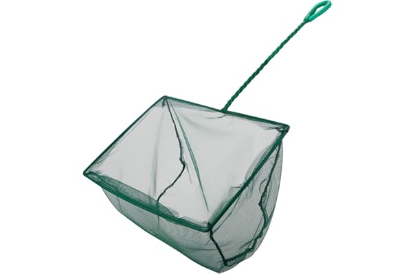 small fish tank net