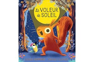 Le voleur de soleil