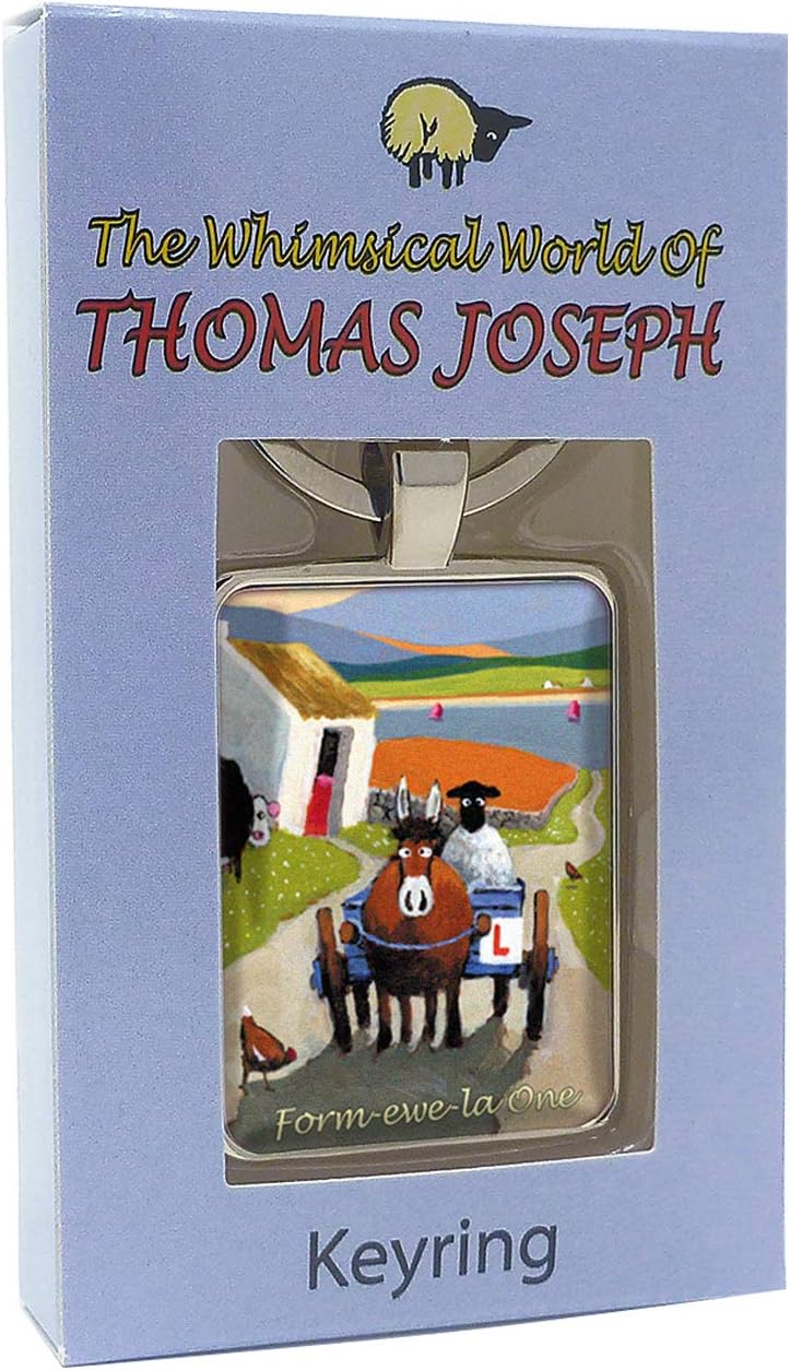 Form-ewe-la One Keyring Keychain Gift by Thomas Joseph, Multicolour - Image 3