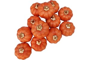 Winlyn 12 Pcs Small Harvest Orange Artificial Pumpkins Decorative Fall Pumpkins Dark Orange Faux Foam Pumpkins for Rustic Farmhouse Halloween Thanksgiving Party Table Centerpiece Autumn Home Décor