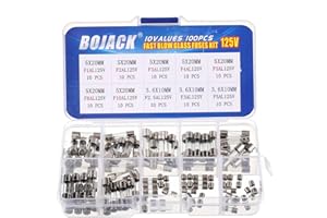 BOJACK Christmas Light fuses 5x20mm 125V 1A 2A 3A 4A 5A 8A 10A Fuse Fast-Blow Glass Fuses 3.6X10mm Mini Fuse 125V 2.5A 3A 5A amp Fuses Assortment Kit