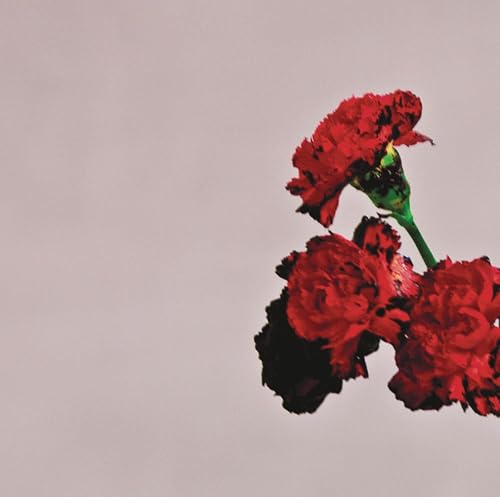 #37 — Love In The Future