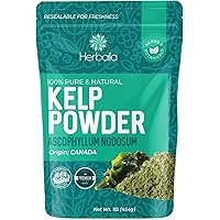 Kelp Powder 1 Lb, Natural Iodine Supplement (High Fiber) Raw Kelp Seaweed Extract from Canada, 100% Pure, non-GMO…