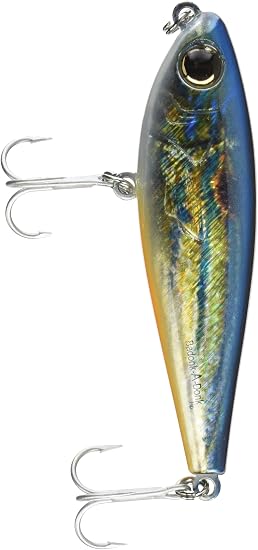 pinfish amazon