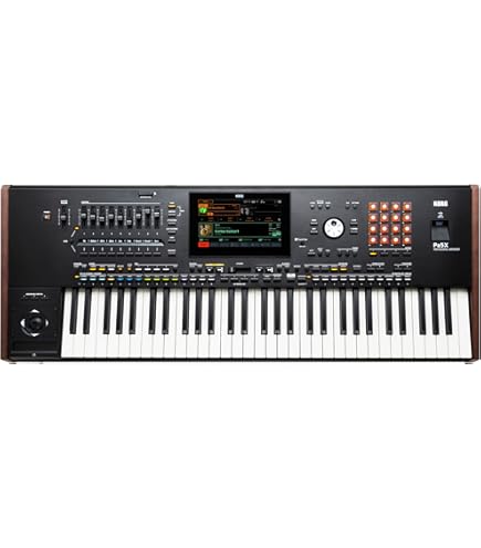 Amazon.com: Korg PA600 61-Key Professional Arranger with Color