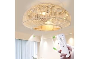 JSAITEE Boho Caged Ceiling Fans with Lights and Remote Control, 20 Inch Flush Mount Rattan Retro Ceiling Fan with Light, 6-Speed Reversible Motor E26 Bulb Base for Bedroom Living Room and Kitchen