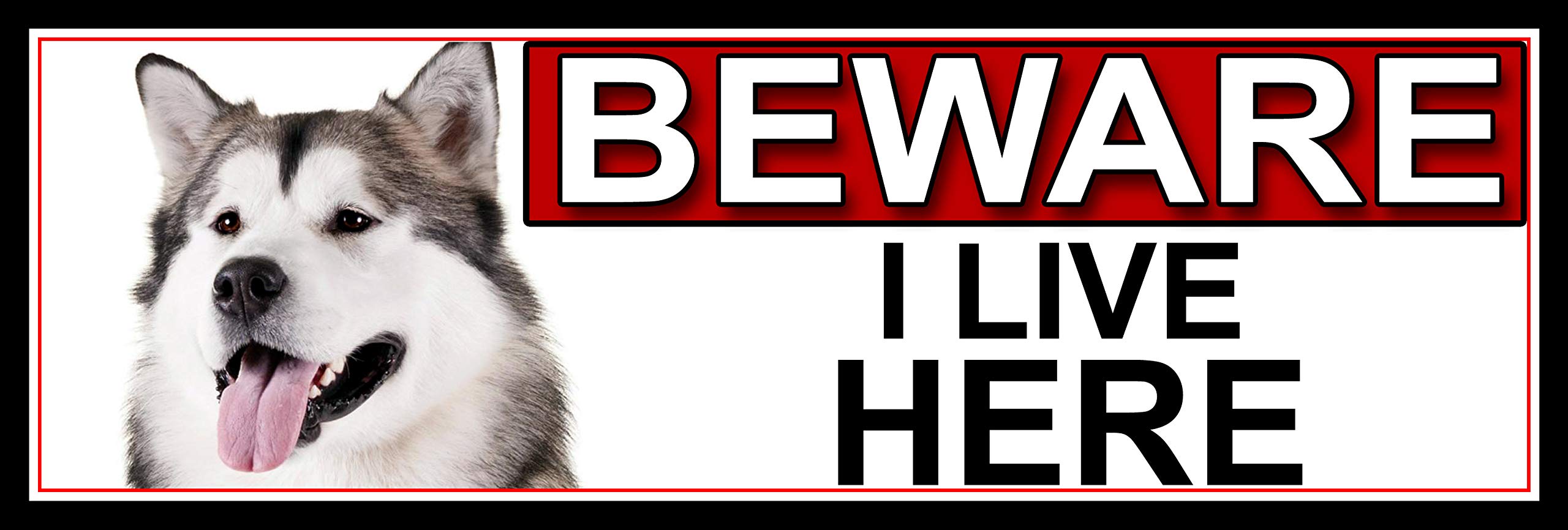SHAWPRINT Alaskan Malamute BEWARE I LIVE HERE METAL GATE SIGN 266mm x 87m. (424H2)