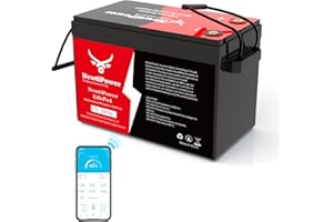 NEWTIPOWER 12V 300Ah LiFePO4 Battery Small Size, 3840Wh Lithium Battery with 200A BMS, Up to 10000+ Rechargeable Cycles, Support in Series/Parallel, Perfect for RV Camping, Trolling Motor, Solar Power Storage