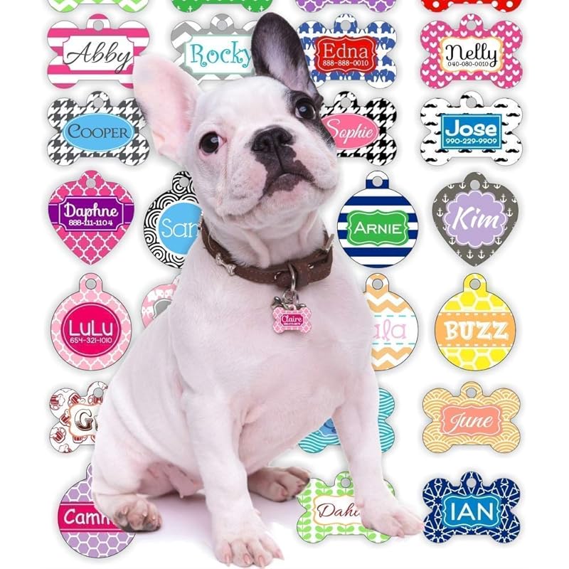 Personalized Dog Tag for Dogs and Cats Design Your Own