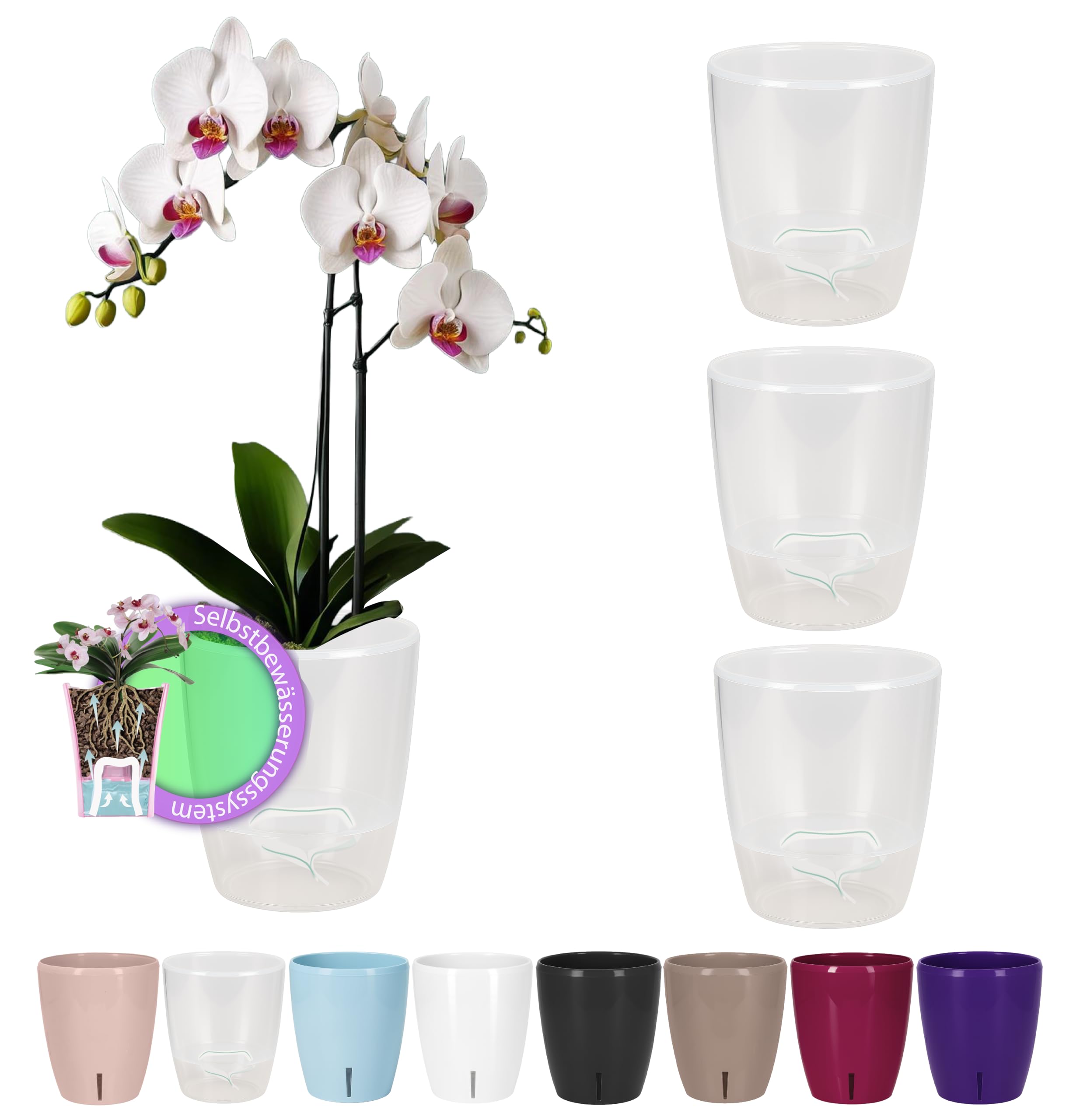 SET OF 4 - Santino ORCHIDEA Self-Watering Orchid Pot - 12CM Self-Watering Decorative Planter with Wick System and Water Level Indicator (Ø 12.5 cm, H 15 cm, 1.3L - Transparent)