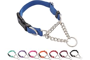 Yunleparks Martingale Dog Collar with Quick Release Buckle Steel Chain No Pull Training Reflective Collar for Medium Large Dogs(Blue, Large)