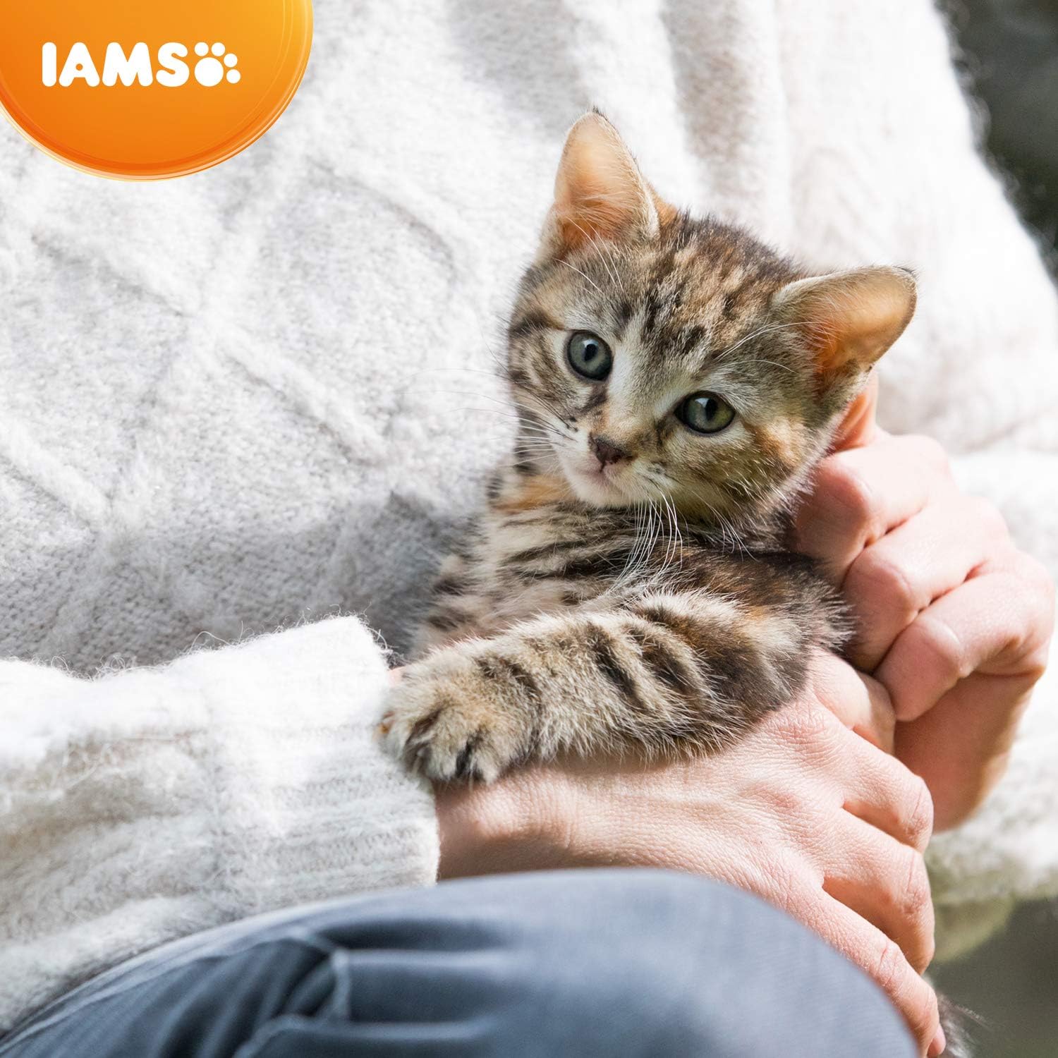 IAMS Kitten Dry Cat Food Chicken 800g, Clear, 800 g (Pack of 1) - Image 5