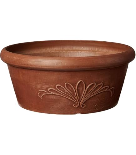 我谷風盆　約32cm×約22.5cm×約3.5cm Amazon.com: PSW Pot Collection M25TC 8 英吋(約20.3 公分)塑膠