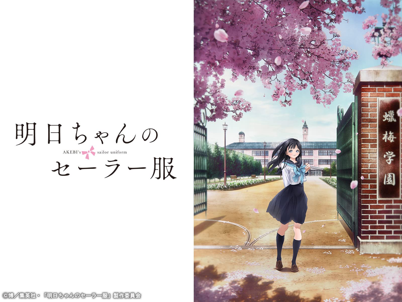 Amazon Co Jp 明日ちゃんのセーラー服を観る Prime Video Amazon Co Jp 明日ちゃんのセーラー服を観る Prime Video